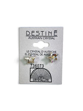 Load image into Gallery viewer, Crystalline Destine Earrings
